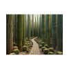 101857-5.jpg Walkway Meandering Through a Forest of Organ Pipe Cactus Poster