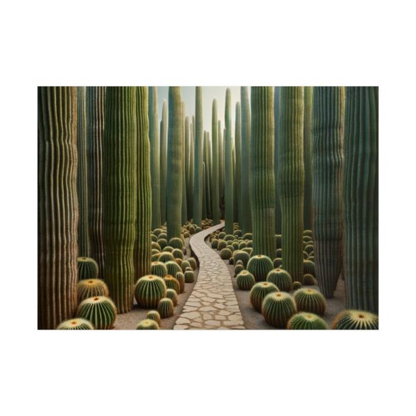 101857-5.jpg Walkway Meandering Through a Forest of Organ Pipe Cactus Poster