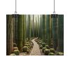 101857-6.jpg Walkway Meandering Through a Forest of Organ Pipe Cactus Poster