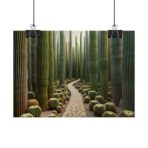 101857-6.jpg Walkway Meandering Through a Forest of Organ Pipe Cactus Poster
