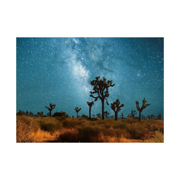 101857.jpg Starry Sky Night With Cactus Poster