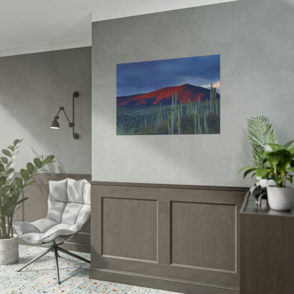 Desert With Cactus Poster