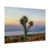 101875-172.jpg Sunset With Cactus Poster