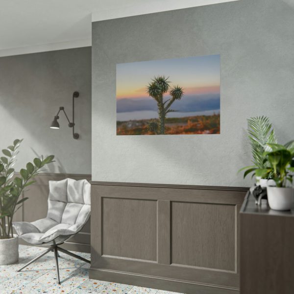 101875-174.jpg Sunset With Cactus Poster
