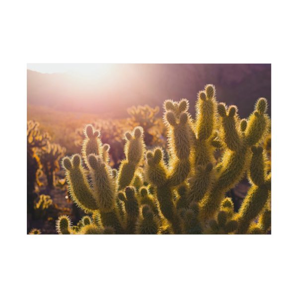 101875-175.jpg Landscape of Cactus Poster