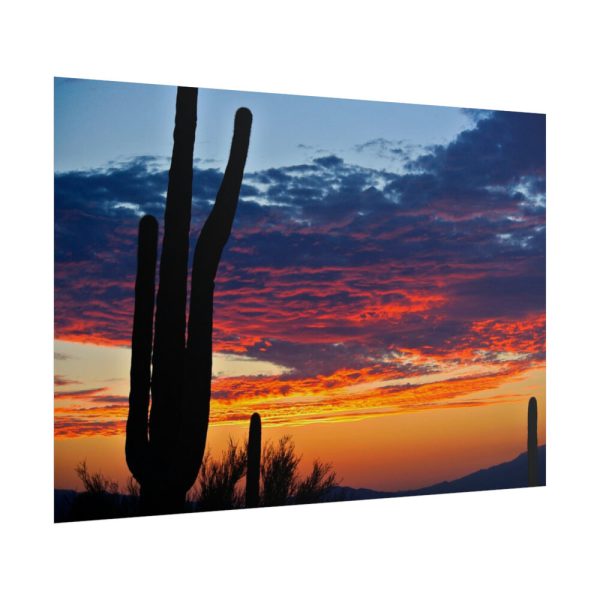 Cactus Sunrise Desert Poster