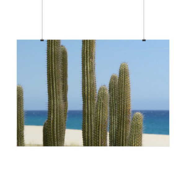 101875-206.jpg Cactus on the Beach Poster