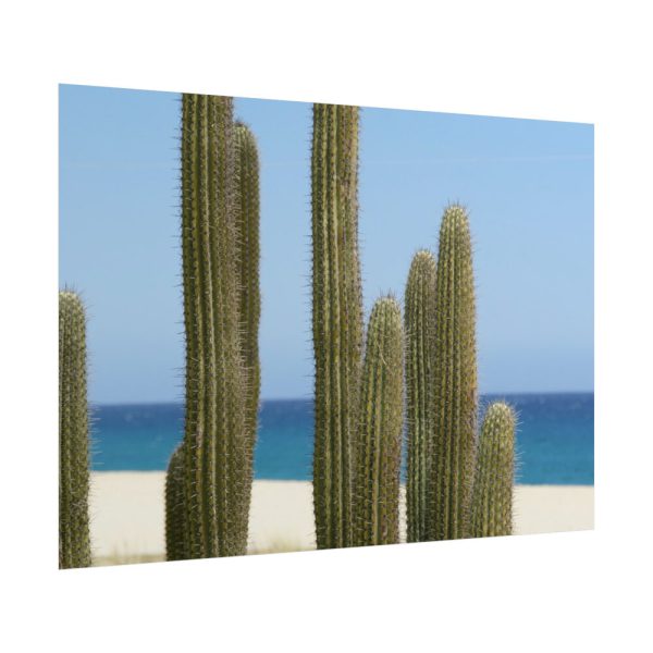 101875-207.jpg Cactus on the Beach Poster
