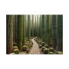 101875-250.jpg Walkway Meandering Through a Forest of Organ Pipe Cactus Poster