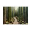 101875-251.jpg Walkway Meandering Through a Forest of Organ Pipe Cactus Poster