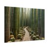 101875-252.jpg Walkway Meandering Through a Forest of Organ Pipe Cactus Poster