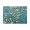 101875-265.jpg Vincent van Gogh's Almond Blossom Poster