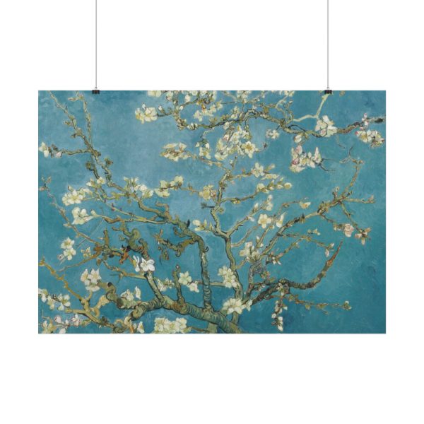 101875-266.jpg Vincent van Gogh's Almond Blossom Poster