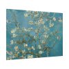 101875-267.jpg Vincent van Gogh's Almond Blossom Poster