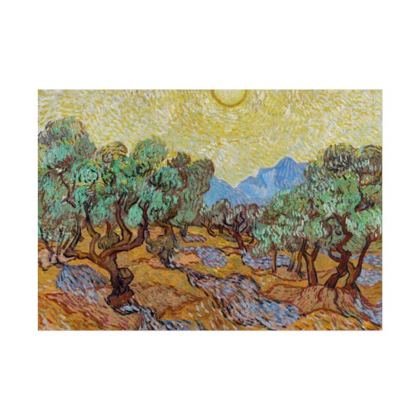 Vincent van Gogh's Olive Trees Poster