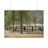 101875-291.jpg Vincent van Gogh's Terrace in the Luxembourg Gardens Poster