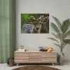 101875-308.jpg Deer With Small Horns Poster