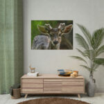Deer With Small Horns Poster - Image 14