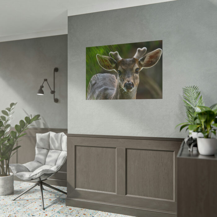 Deer With Small Horns Poster - Image 15