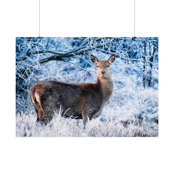 101875-326.jpg Deer In The Forest Poster