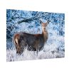 101875-327.jpg Deer In The Forest Poster