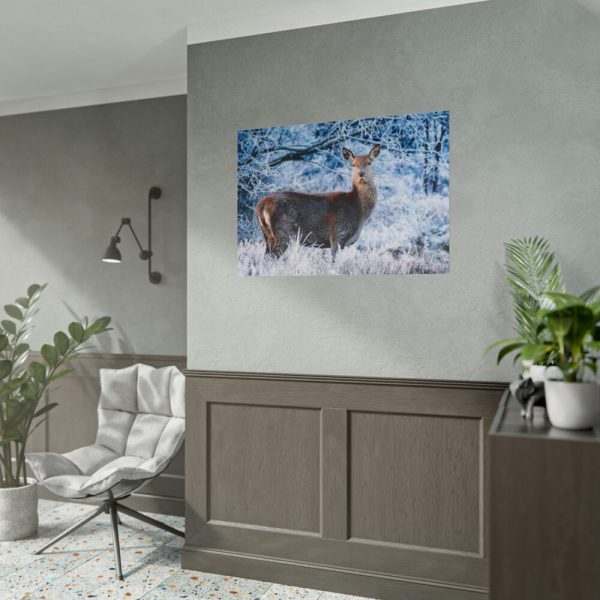 101875-329.jpg Deer In The Forest Poster