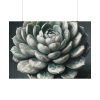 101875-56.jpg Boho Succulent Plant Poster
