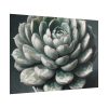 101875-57.jpg Boho Succulent Plant Poster