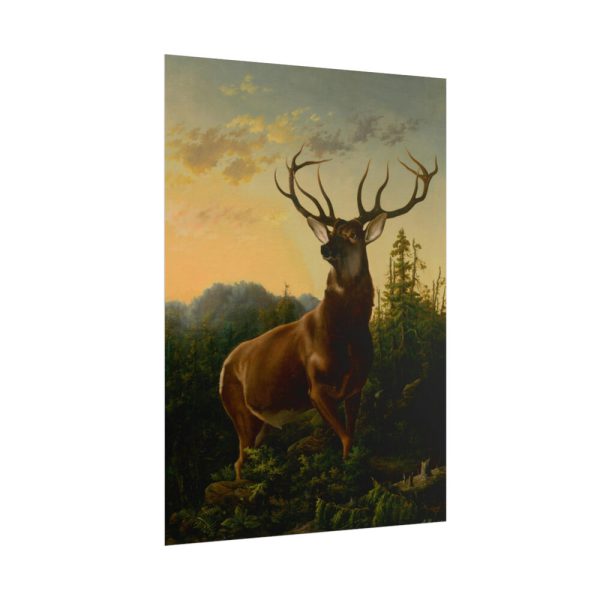 101876-2.jpg Deer in Forest Landscape Poster