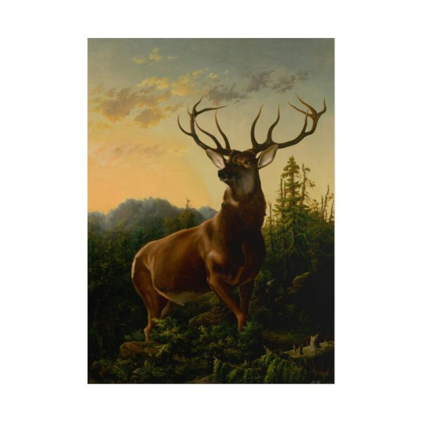 101876.jpg Deer in Forest Landscape Poster