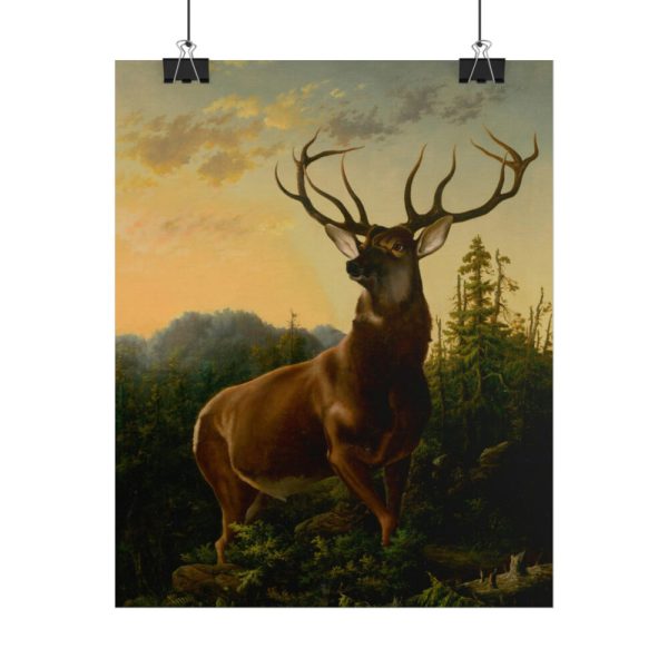 101878-1.jpg Deer in Forest Landscape Poster