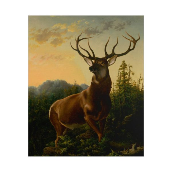 101879.jpg Deer in Forest Landscape Poster