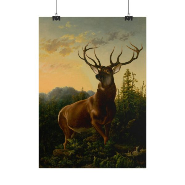 101882-1.jpg Deer in Forest Landscape Poster