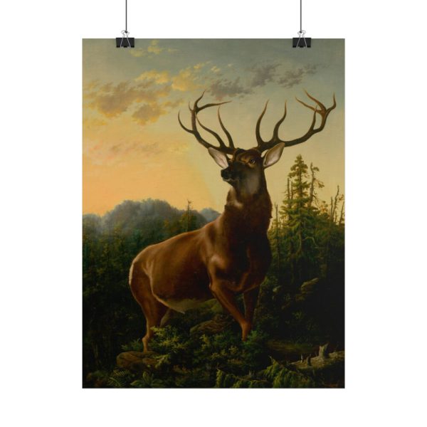 101883-1.jpg Deer in Forest Landscape Poster