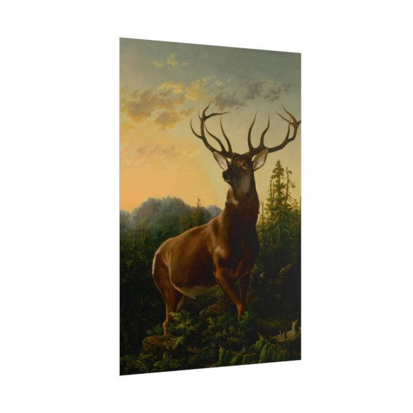 101884-2.jpg Deer in Forest Landscape Poster