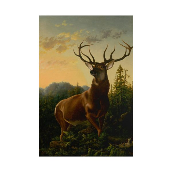 101884.jpg Deer in Forest Landscape Poster