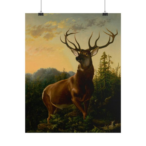 101885-1.jpg Deer in Forest Landscape Poster