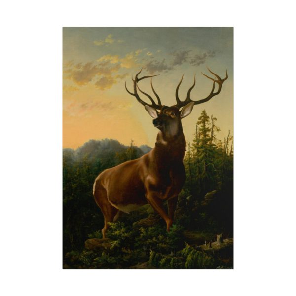 101887.jpg Deer in Forest Landscape Poster