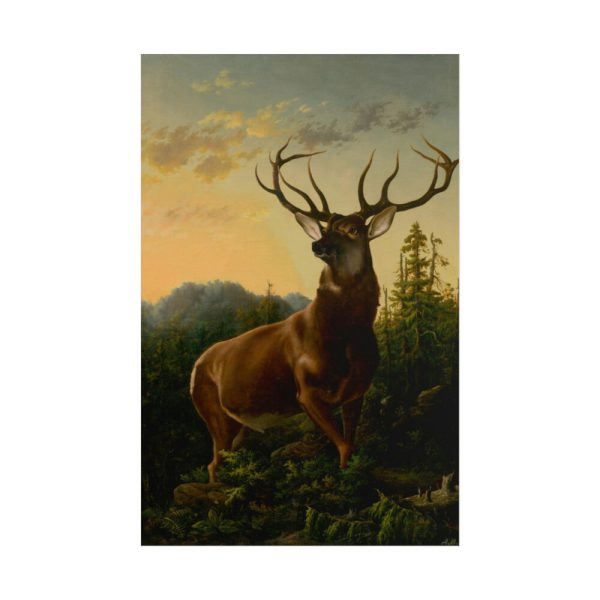 101890.jpg Deer in Forest Landscape Poster