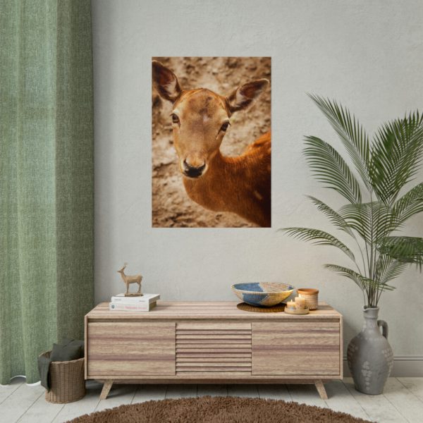 101894-208.jpg Roe Deer in Nature Poster