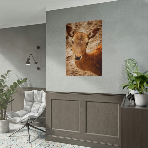 101894-209.jpg Roe Deer in Nature Poster