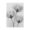 101894-245.jpg Delicate Flowers Art Poster