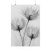 101894-246.jpg Delicate Flowers Art Poster