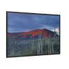 88289-120.jpg Desert With Cactus Framed Canvas