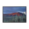 88289-121.jpg Desert With Cactus Framed Canvas