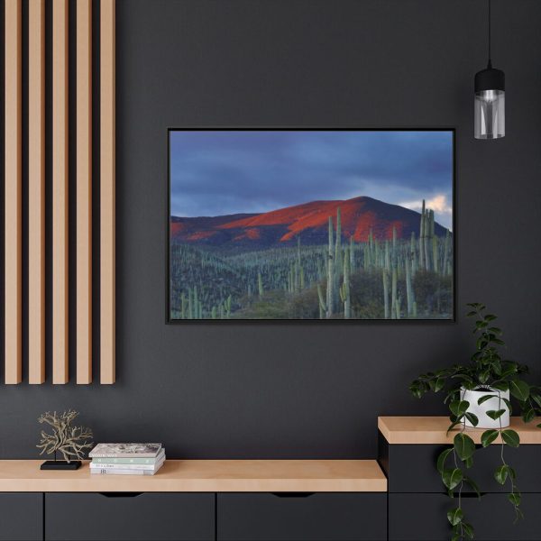 88289-124.jpg Desert With Cactus Framed Canvas