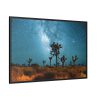 88289-125.jpg Starry Sky Night With Cactus Framed Canvas