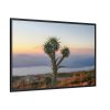 Sunset With Cactus Framed Canvas