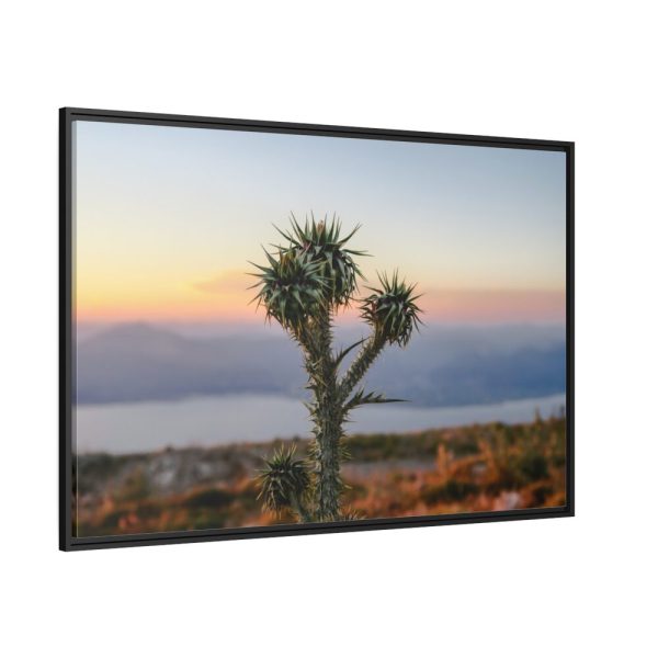 Sunset With Cactus Framed Canvas