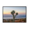 Sunset With Cactus Framed Canvas
